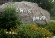 盛夏的奥林匹克森林公园