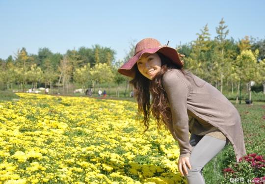 2011年顺义国际鲜花港菊花节