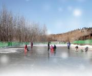 奥林匹克森林公园滑冰场(奥海滑冰场)