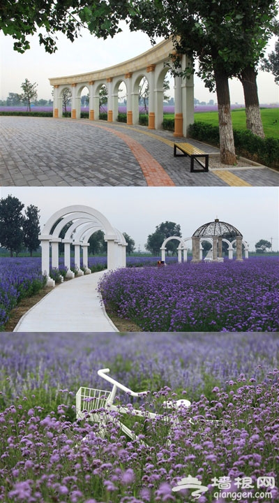 紫谷伊甸园