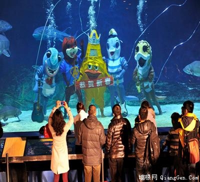 北京海洋馆举办水下音乐会 海洋偶像乐团首秀