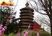 春游门头沟 登山 赏花乐趣多