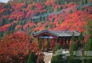 红螺山红螺寺 红叶正红