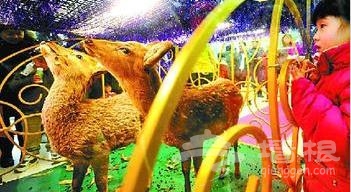 崇文门新世界商场促销出奇招 小屋里的梅花鹿吸引顾客