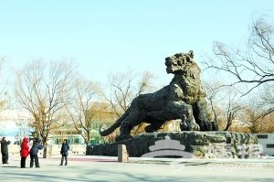 国内最大铜雕老虎将落户北京动物园(图)