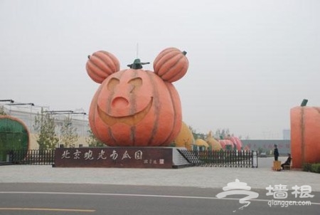 2010北京通州春节活动一览[墙根网]