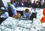 老字号锦芳不卖小吃专卖元宵