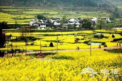 婺源：中国最美丽的乡村