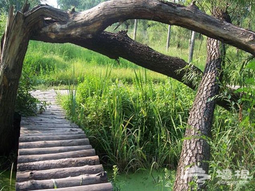 北京夏季特色湿地公园