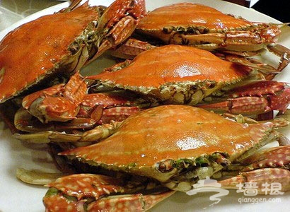 享受海鲜饕餮 京城八大海鲜广场今夏争“鲜”[墙根网]
