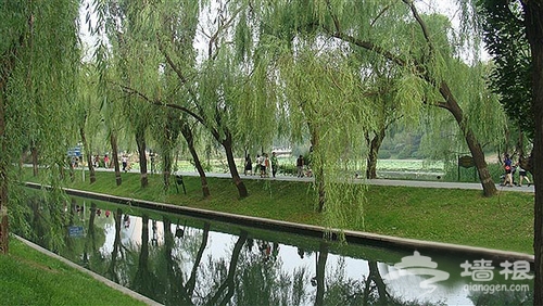 京城另类玩水 从皇家水路去颐和园[墙根网]