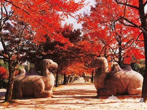 游中国十大古典陵墓园林 感受沧海桑田的历史变化[墙根网]