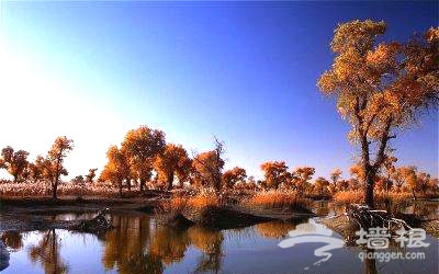古路迷情 探秘十大最经典户外旅游线路[墙根网]