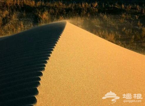 浩瀚南疆无限风光 大漠自驾7日游攻略[墙根网]