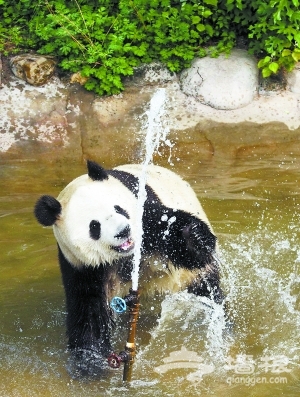 北京动物园耗冰800多斤