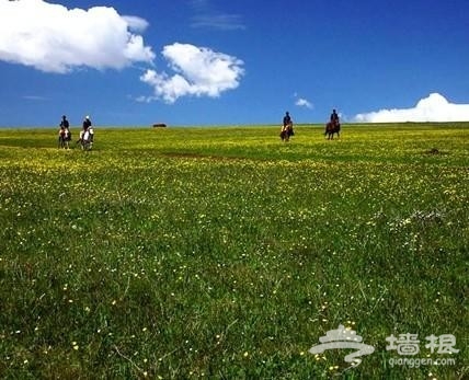策马扬鞭 北京周边最适合骑马的七大草原[墙根网]