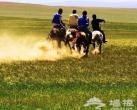 策马扬鞭 北京周边最适合骑马的七大草原