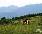 梦魂牵饶海坨山 非著名山峰的徒步邂逅