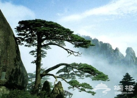 夏季徒步 五大清凉好去处