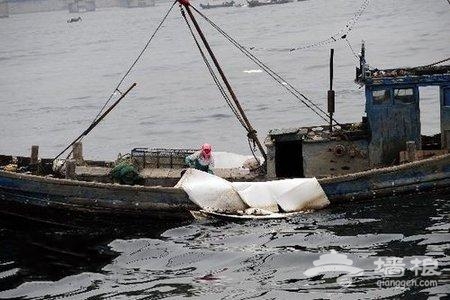 大连部分浴场海滩受到原油污染