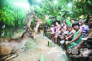 北京自然博物馆：仲夏夜与“百兽”同眠[墙根网]