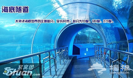 仅49元包邮！原价100元的太平洋海底世界通票[墙根网]