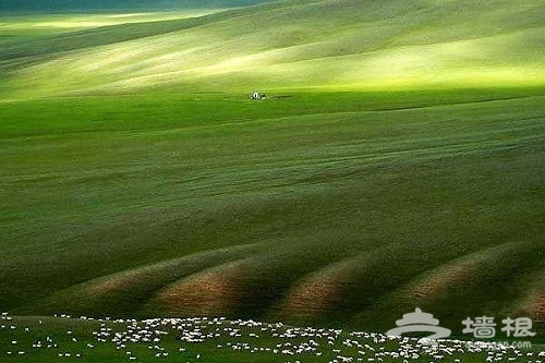 贡格尔草原 内蒙古那片盛产皇后贵妃的草原[墙根网]
