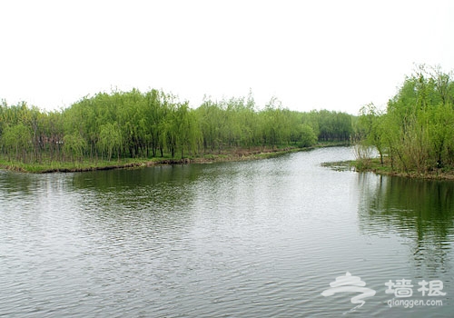 溱湖国家湿地公园