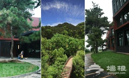 77元白龙潭皇家森林景区奢华单人套票[墙根网]