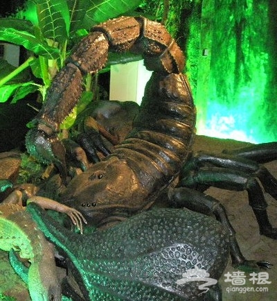仅售69元！原价100元的鸟巢·阿贝拉机器人乐园门票[墙根网]