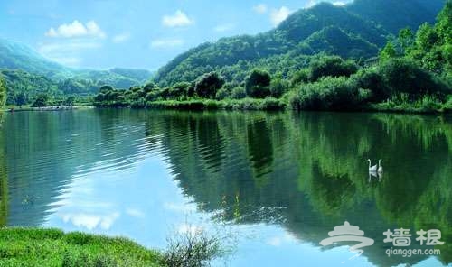 天然氧吧——到康县阳坝去避暑[墙根网]