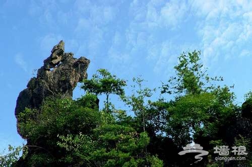 天然氧吧——到康县阳坝去避暑[墙根网]