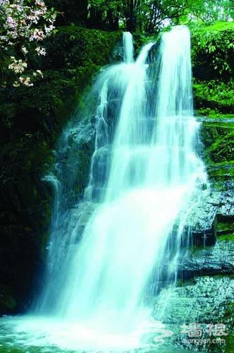 天然氧吧——到康县阳坝去避暑[墙根网]