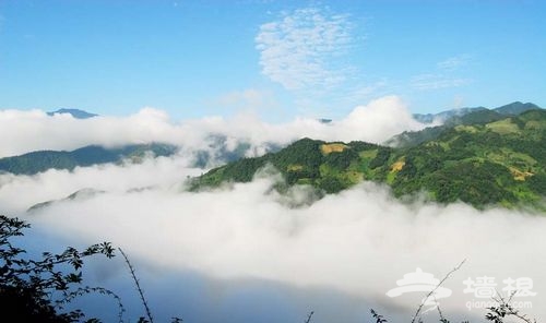 天然氧吧——到康县阳坝去避暑[墙根网]