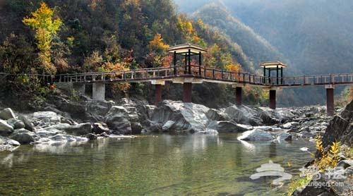 天然氧吧——到康县阳坝去避暑[墙根网]