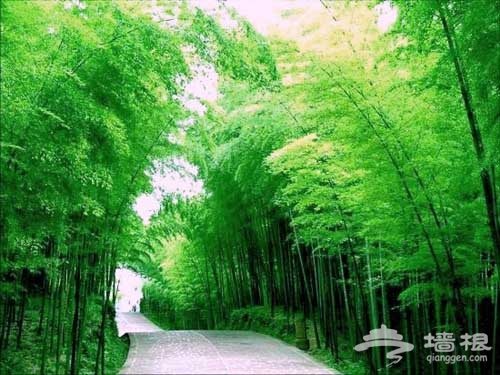 十一出游 鲜有人知的绝美旅游风光地