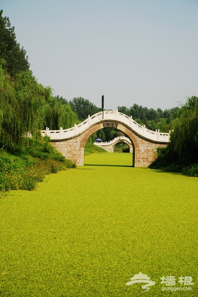 初访北京“白洋淀”-汉石桥湿地公园[墙根网]