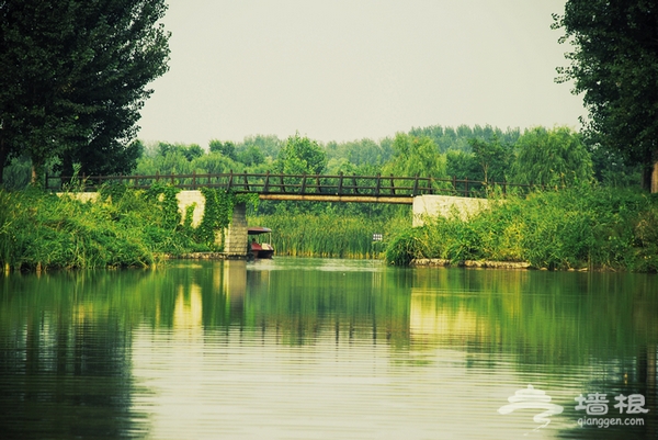 初访北京“白洋淀”-汉石桥湿地公园[墙根网]
