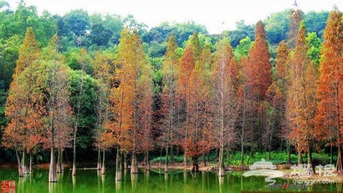 白云山风景名胜区