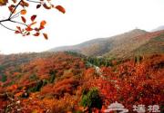 红螺山 红叶组成的风景画