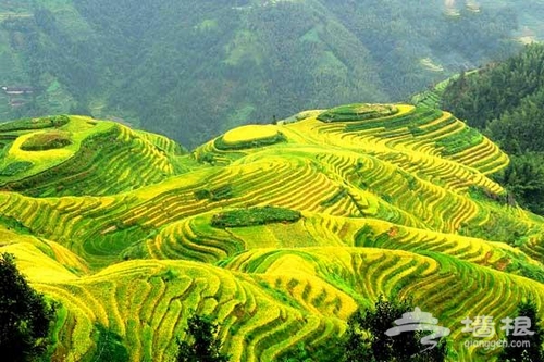 10月秋 醉入秋意淋漓之境[墙根网]