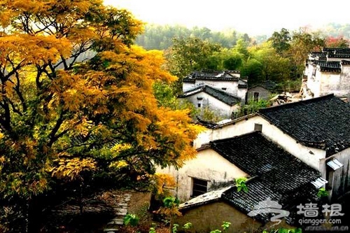 10月秋 醉入秋意淋漓之境[墙根网]
