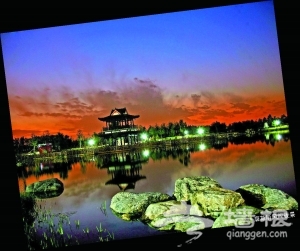 “2010北京菊花文化节”即将拉开帷幕[墙根网]