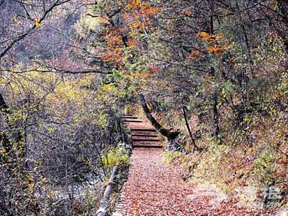 秋天的西樵山，层林尽染
