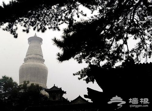 五台山的标志性建筑塔院寺大白塔 新华社记者 燕雁 摄