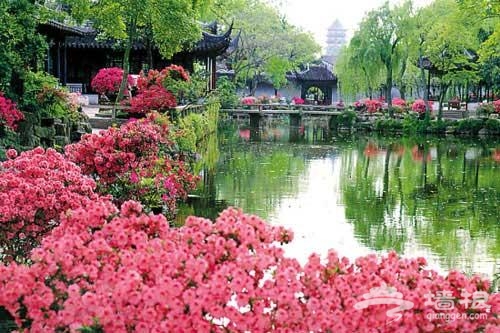 拙政园 景区图片