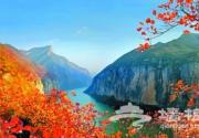 那棵山楂树离三峡红叶很近