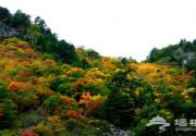 国庆自驾川山蜀水 一路惊喜无限