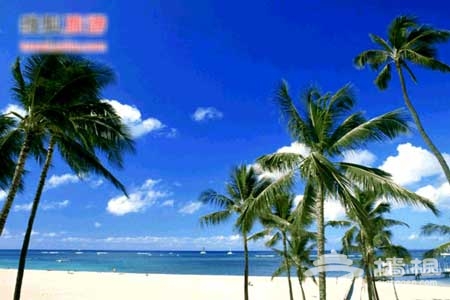 网友曝糗事 贴心妙招教您摆脱旅途尴尬[墙根网]