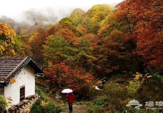 光雾山赏红叶攻略